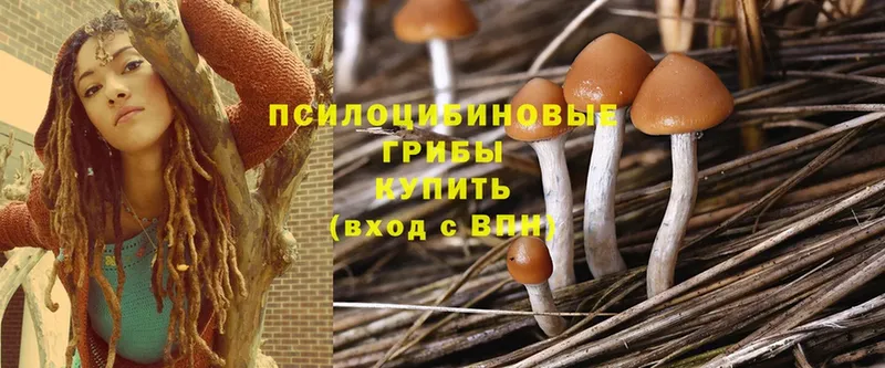 Галлюциногенные грибы MAGIC MUSHROOMS Ангарск